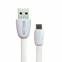 کابل تبدیل USB به USB-C معلم مدل A23 طول یک متر 