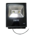 پروژکتور 100 وات مدل PRO100WCITZWH