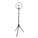 رینگ لایت مدل ZEUS 416 II 