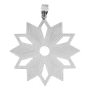 آویز گردنبند نقره زنانه مدل 14D-P