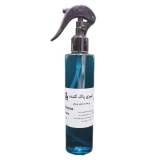 اسپری پاک کننده پرینتر و تونر مدل PR1 حجم 250 میلی لیتر 